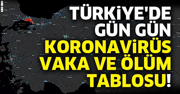 Türkiye'de gün gün koronavirüs vaka ve ölüm tablosu!