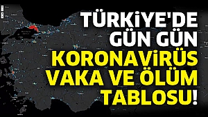 Türkiye'de gün gün koronavirüs vaka ve ölüm tablosu!