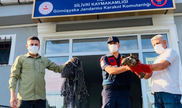 Kurduğu ağda suç üstü yapıldı