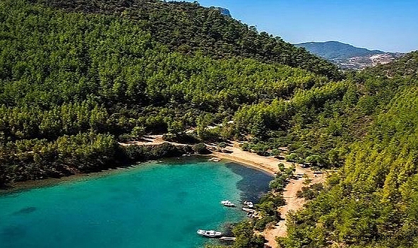 Mehmet Cengiz, Bodrum Cennet Koyu'nu Betona Boğacak