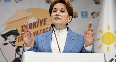 İyi Partili kurucu üye Akşener'i istifaya çağırdı  