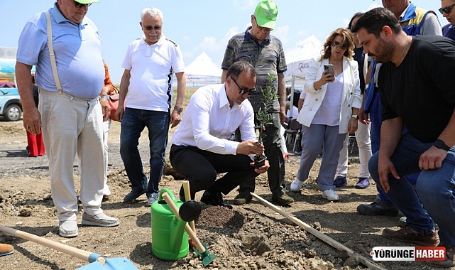 Silivri'de 5.100 adet yağlık zeytin fidanı toprakla buluştu
