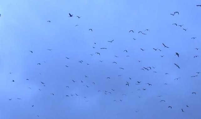 İstanbul hava sahasında alarm!