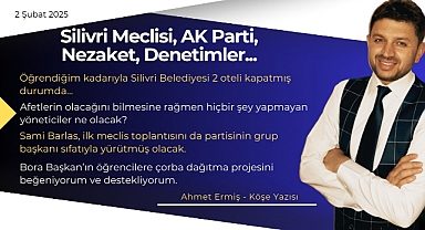 Silivri Meclisi, AK Parti, Nezaket, Denetimler...