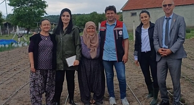 Hibe sebze fideleri toprakla buluştu